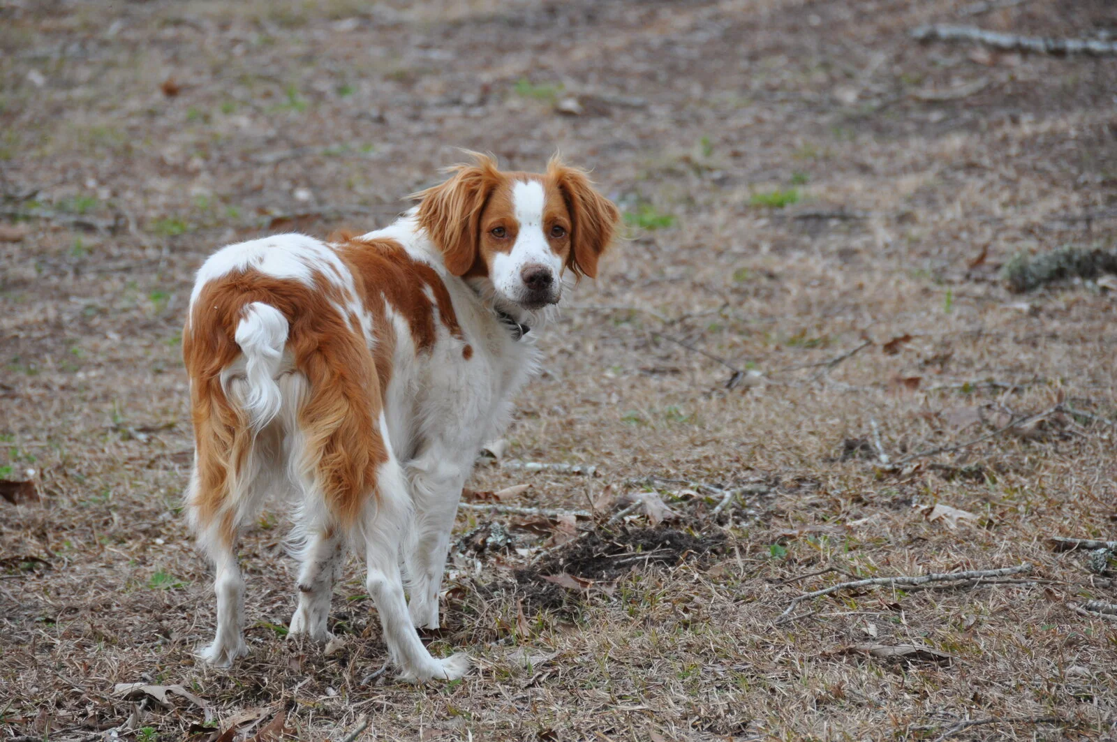 DSC_0613.webp