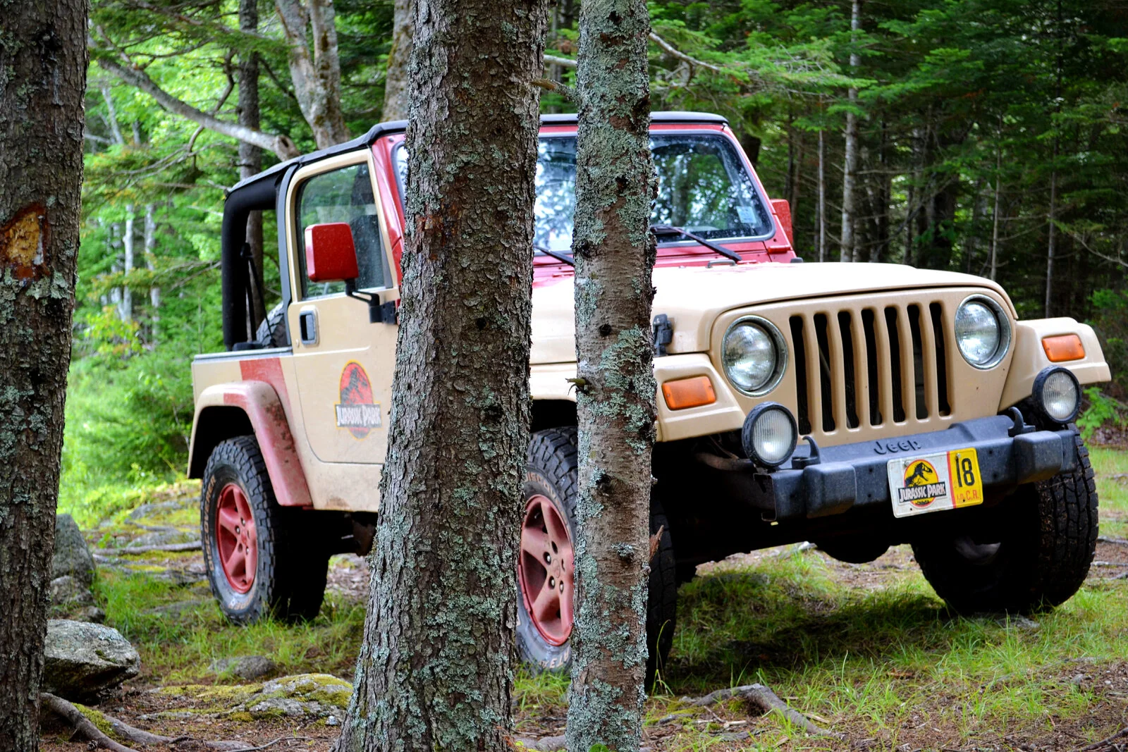 DSC_0799.jpg