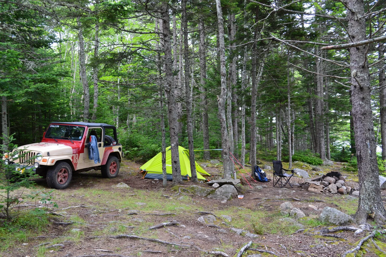 DSC_0925.JPG