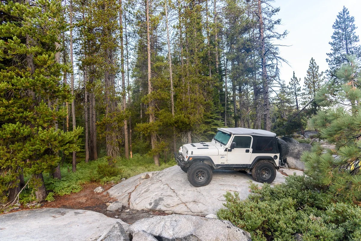 DSC_1405.jpg