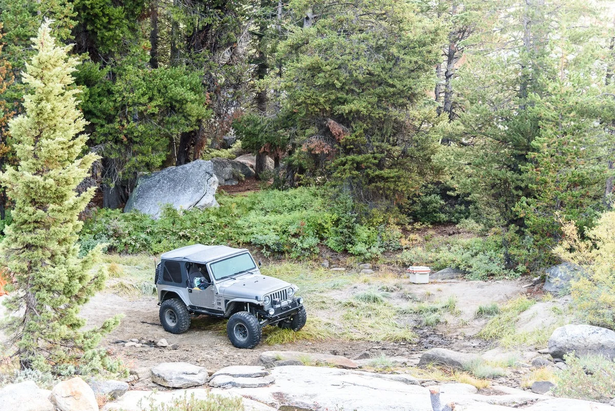 DSC_1407.jpg