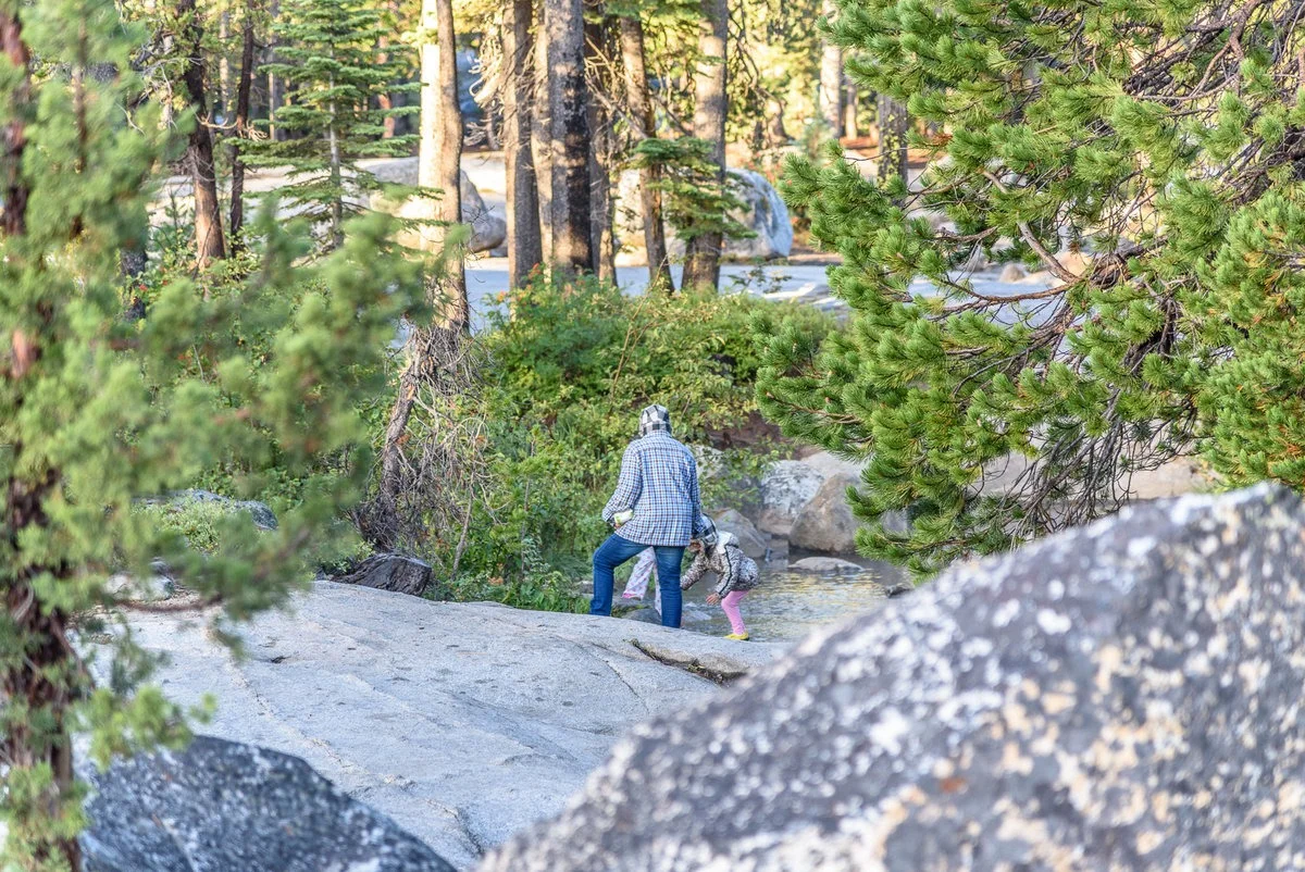 DSC_1423.jpg