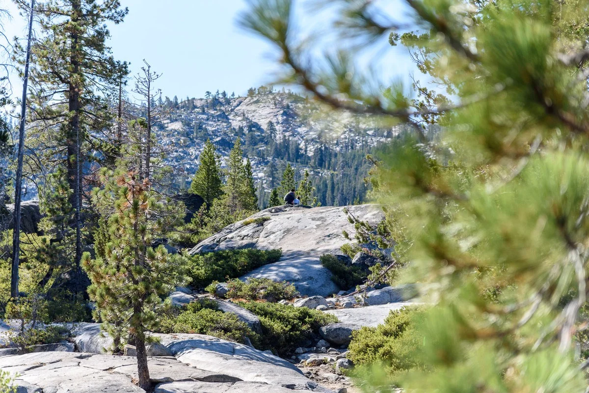 DSC_1433.jpg