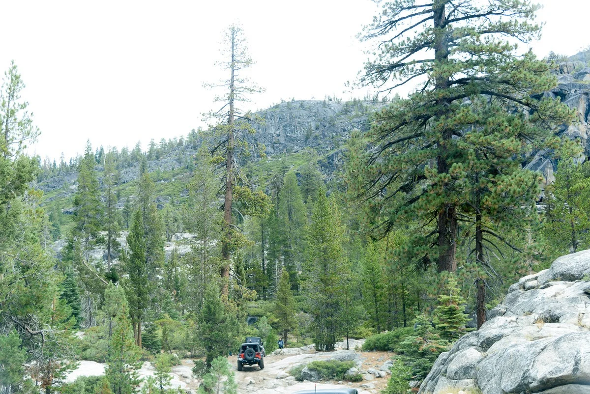 DSC_1517.jpg