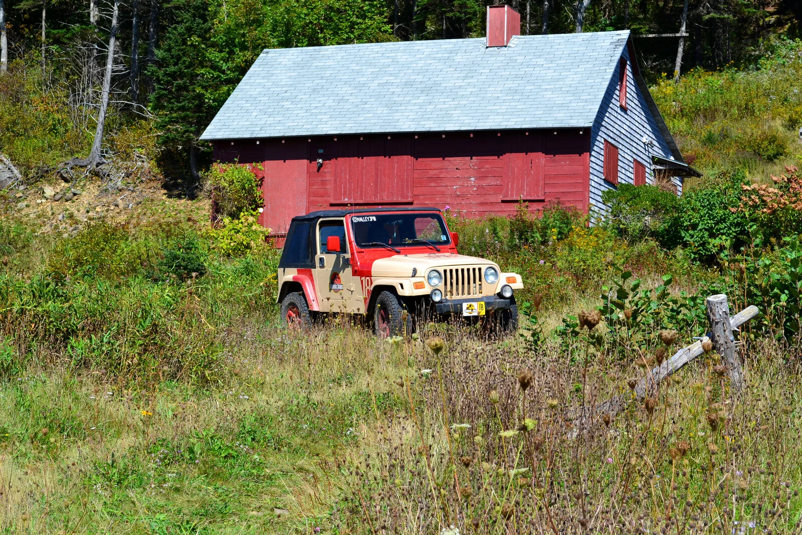 DSC_1583.JPG