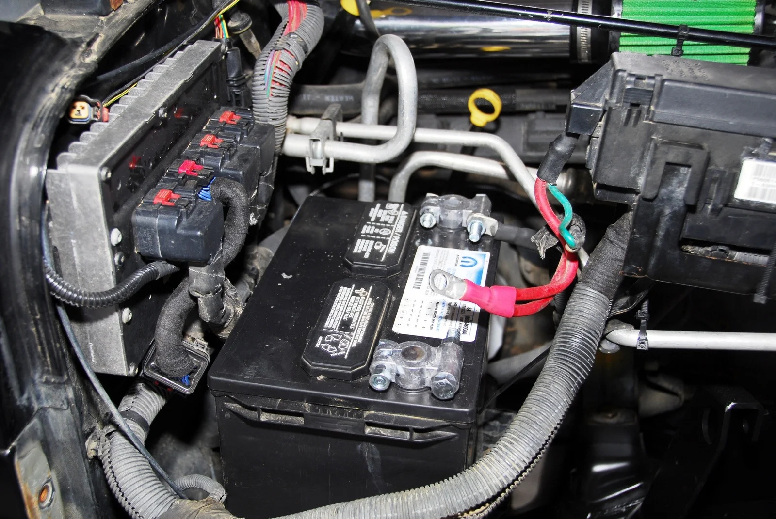 DSC_4344.webp
