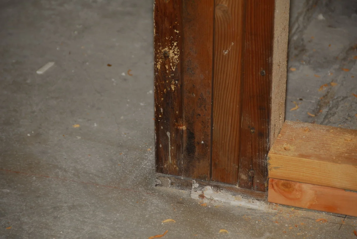 DSC_5064.webp