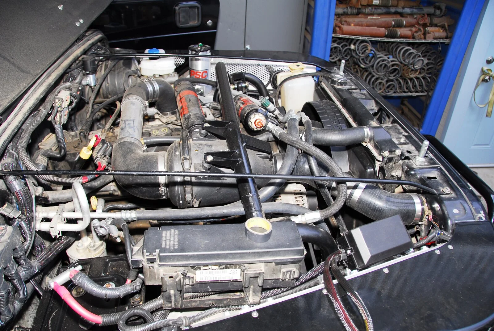 DSC_5366.webp