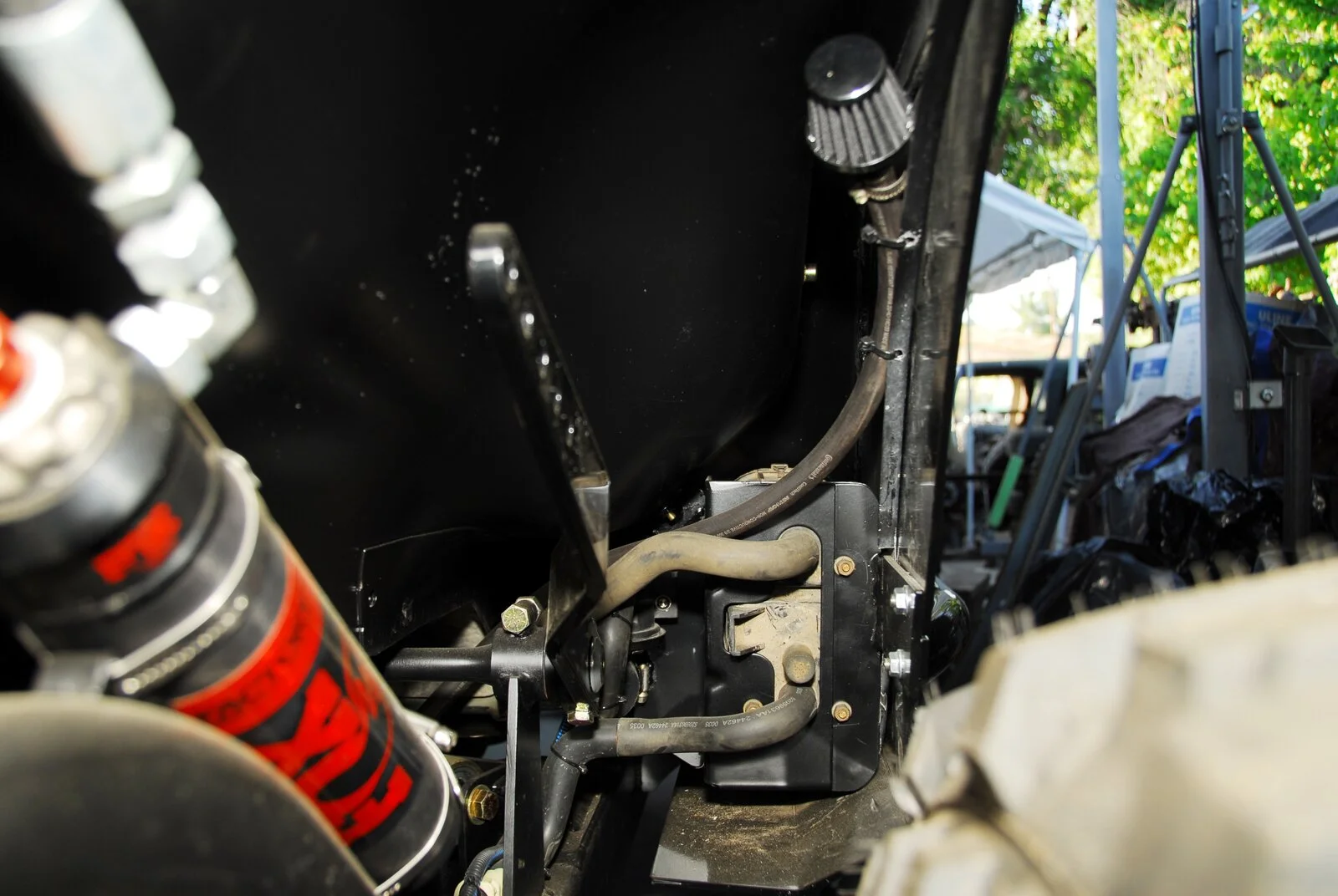 DSC_5380.webp