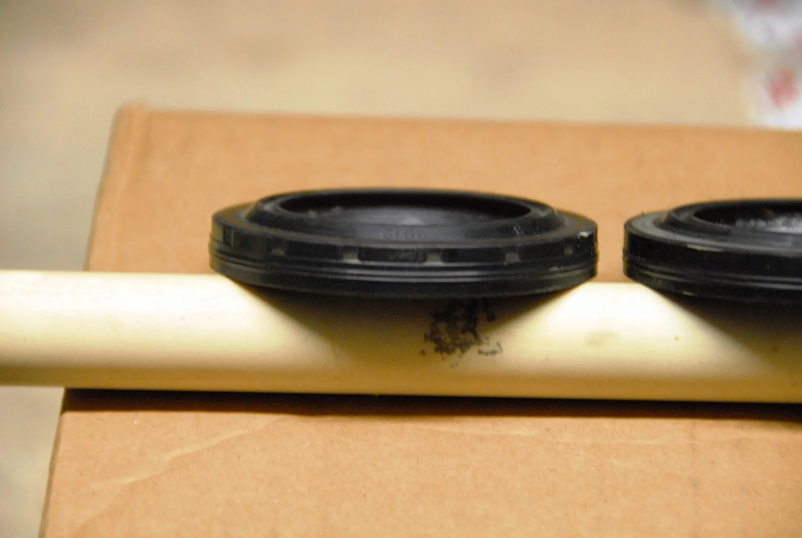 DSC_6050.webp