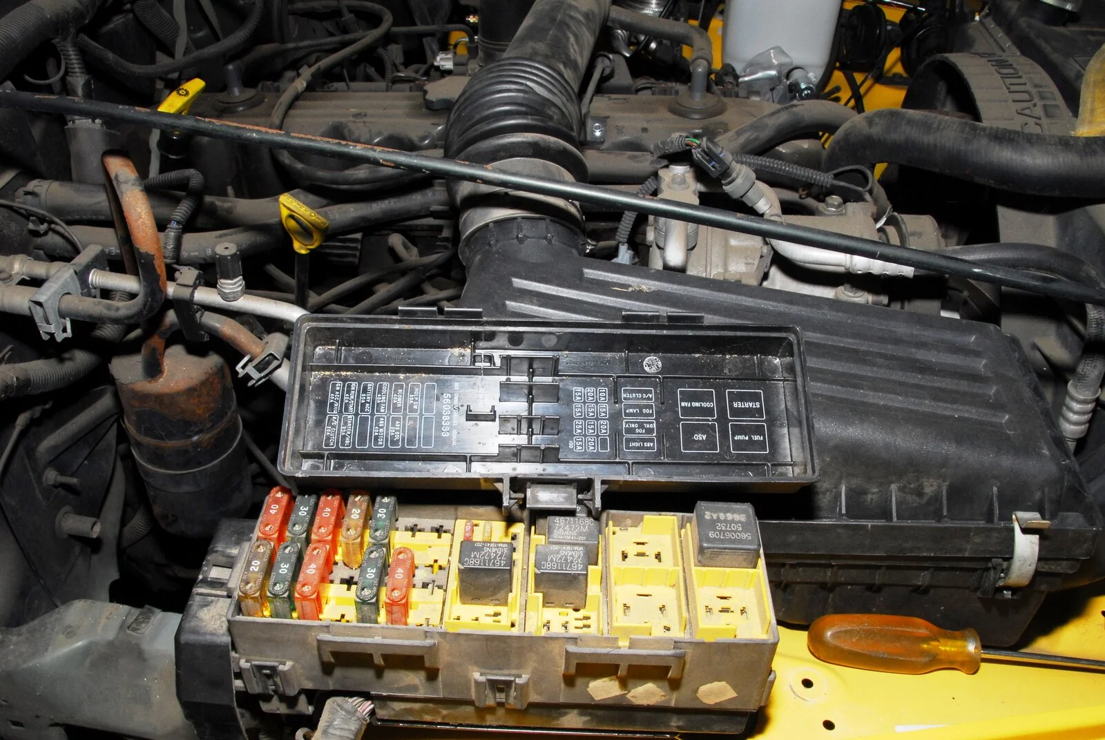 DSC_6142.webp