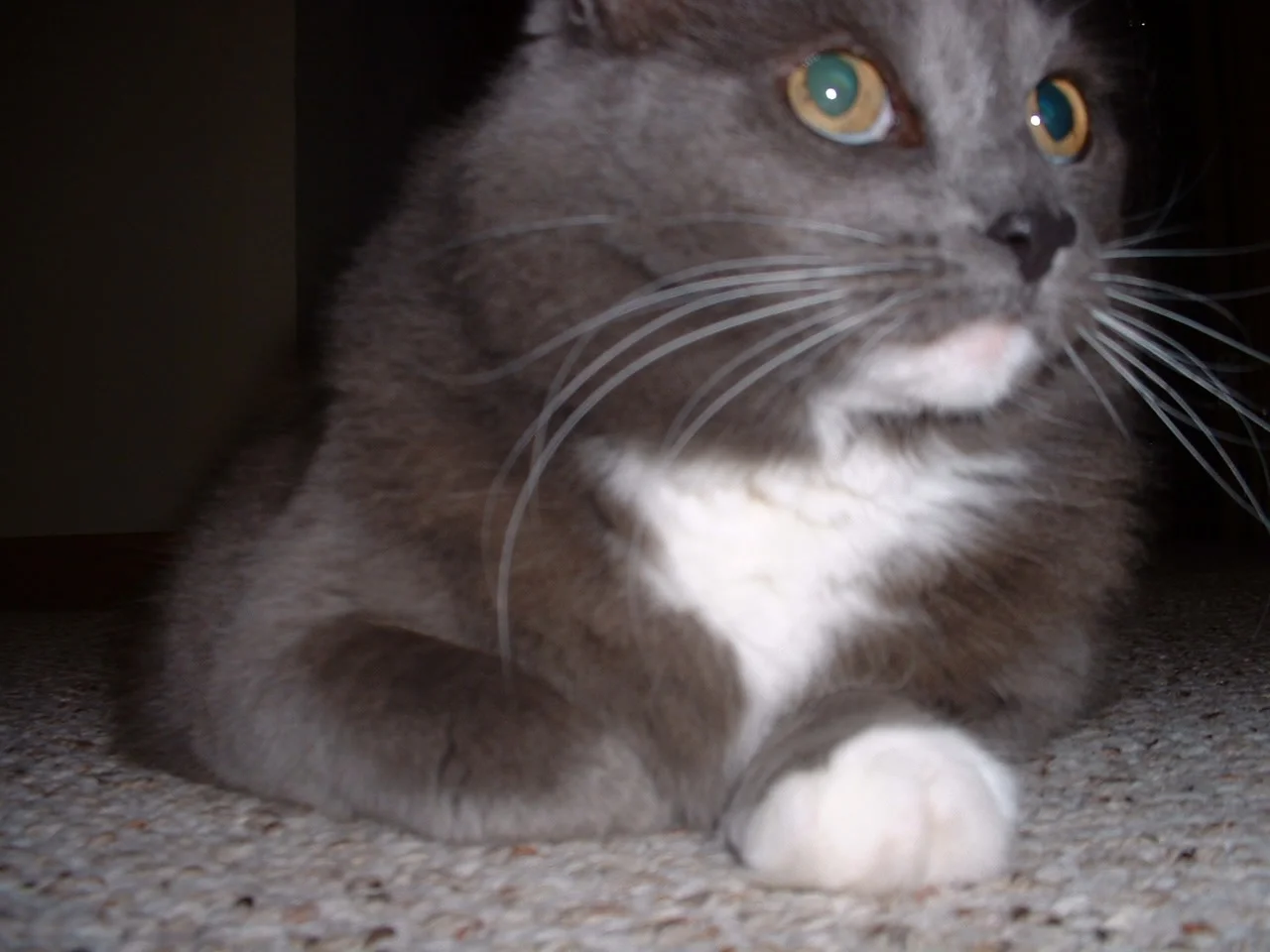 DSCF0074.webp