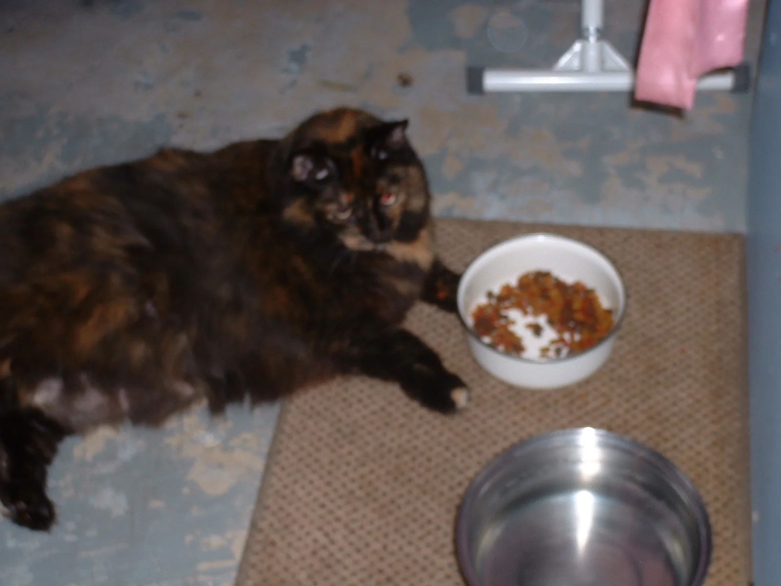 DSCF0107.webp