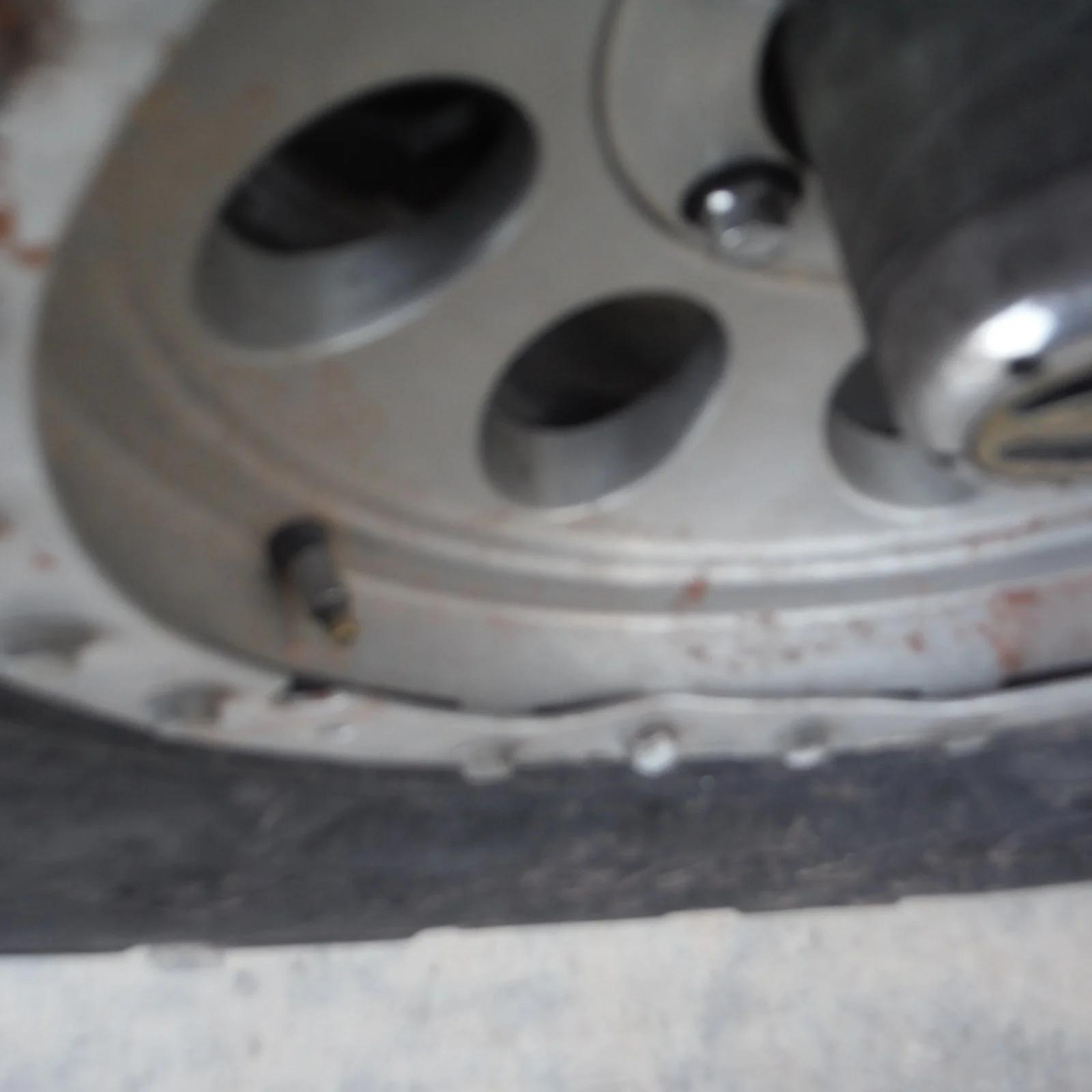 DSCF1181.webp