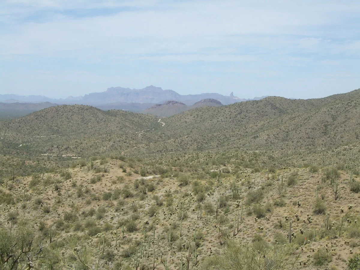 DSCF3058.webp