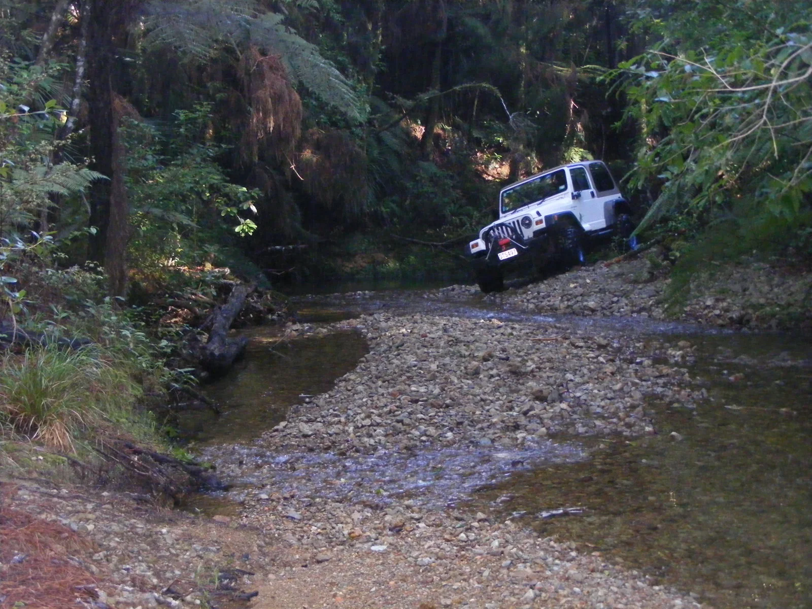 DSCF3498.webp