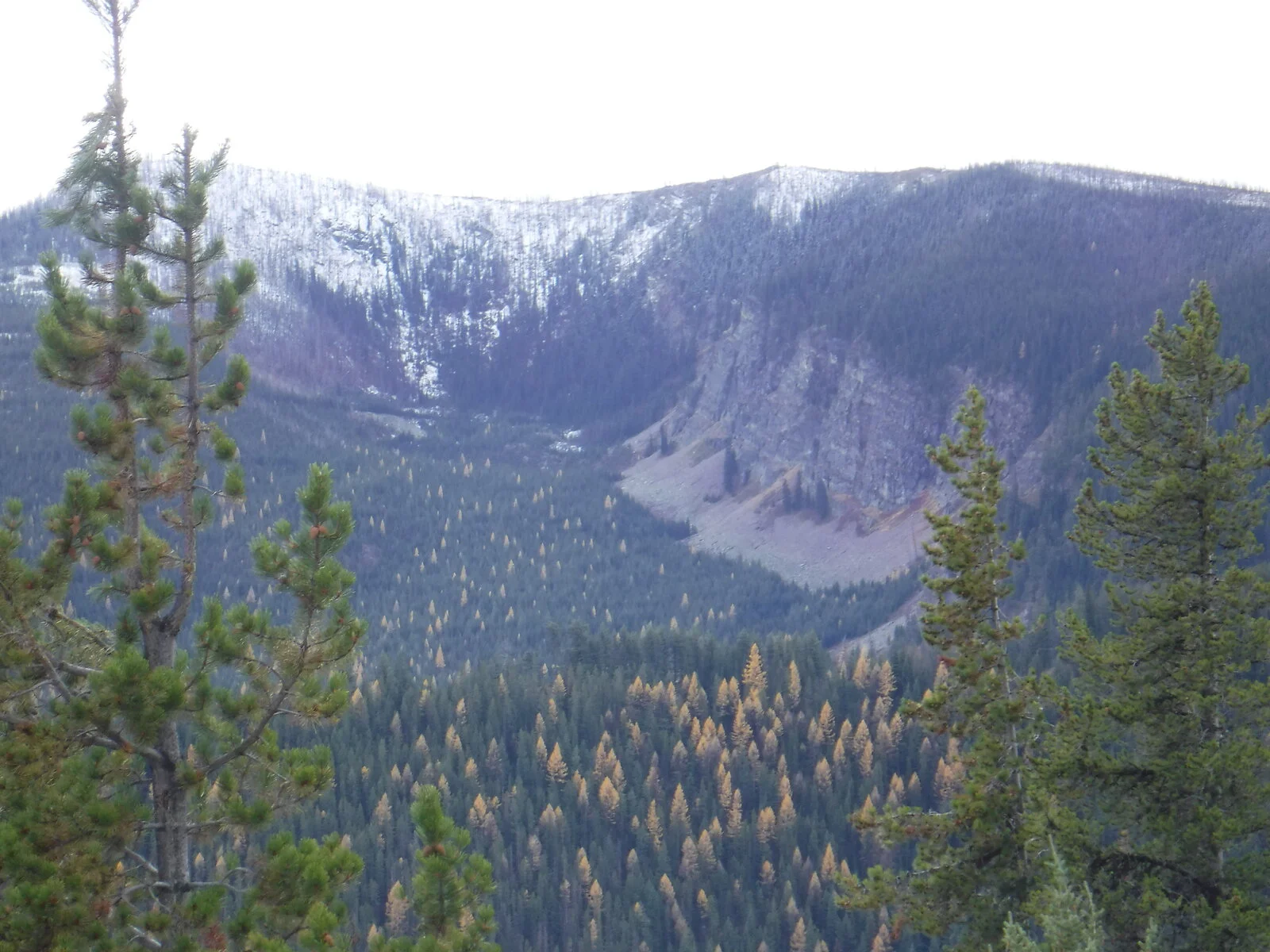 DSCF7836.JPG