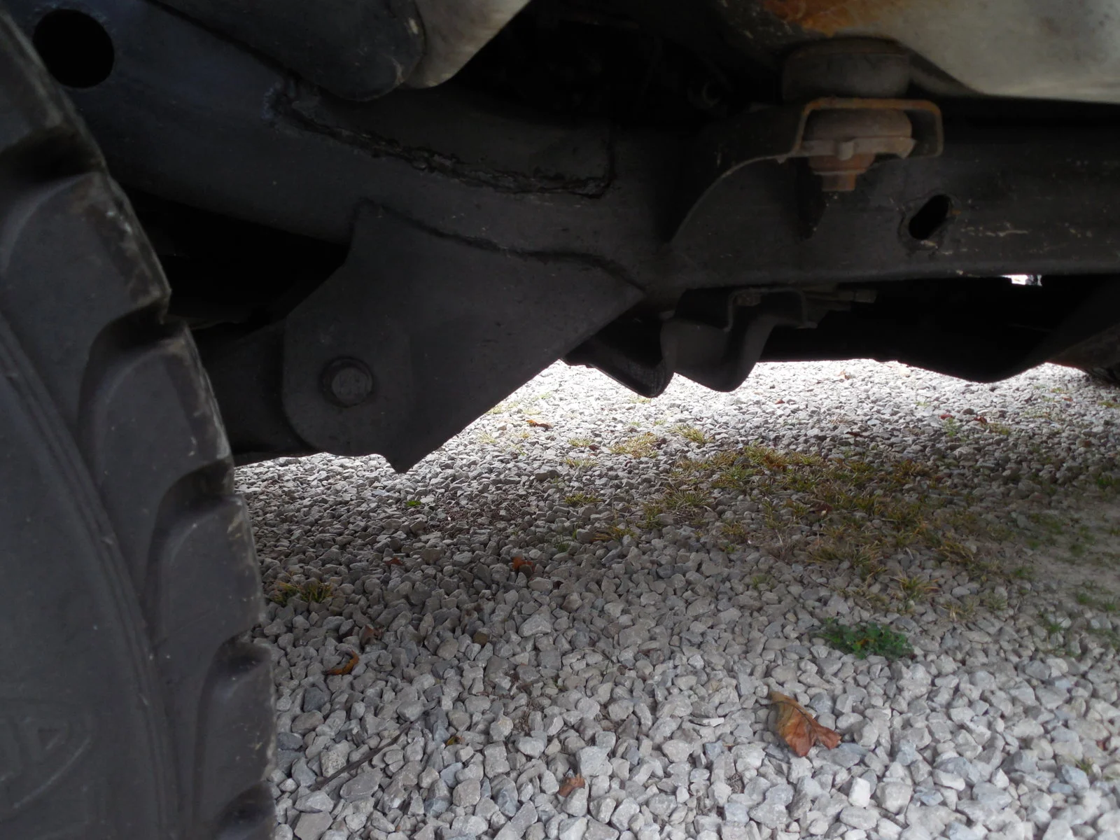DSCN0029.webp