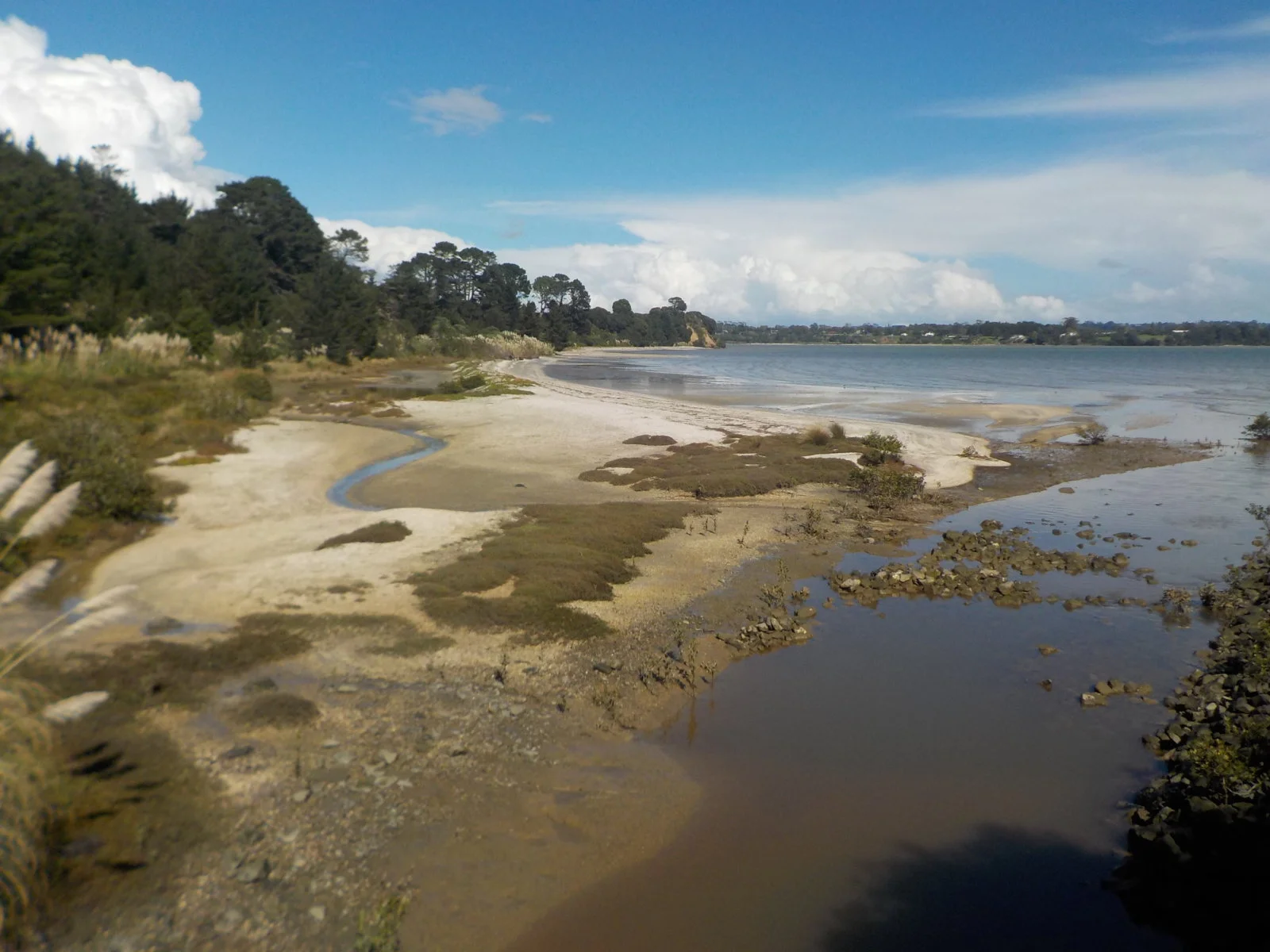 DSCN0062.webp