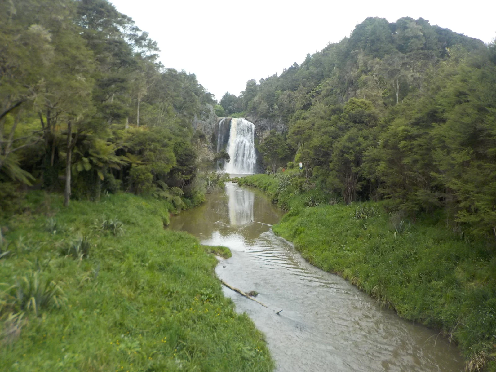 DSCN0264.webp