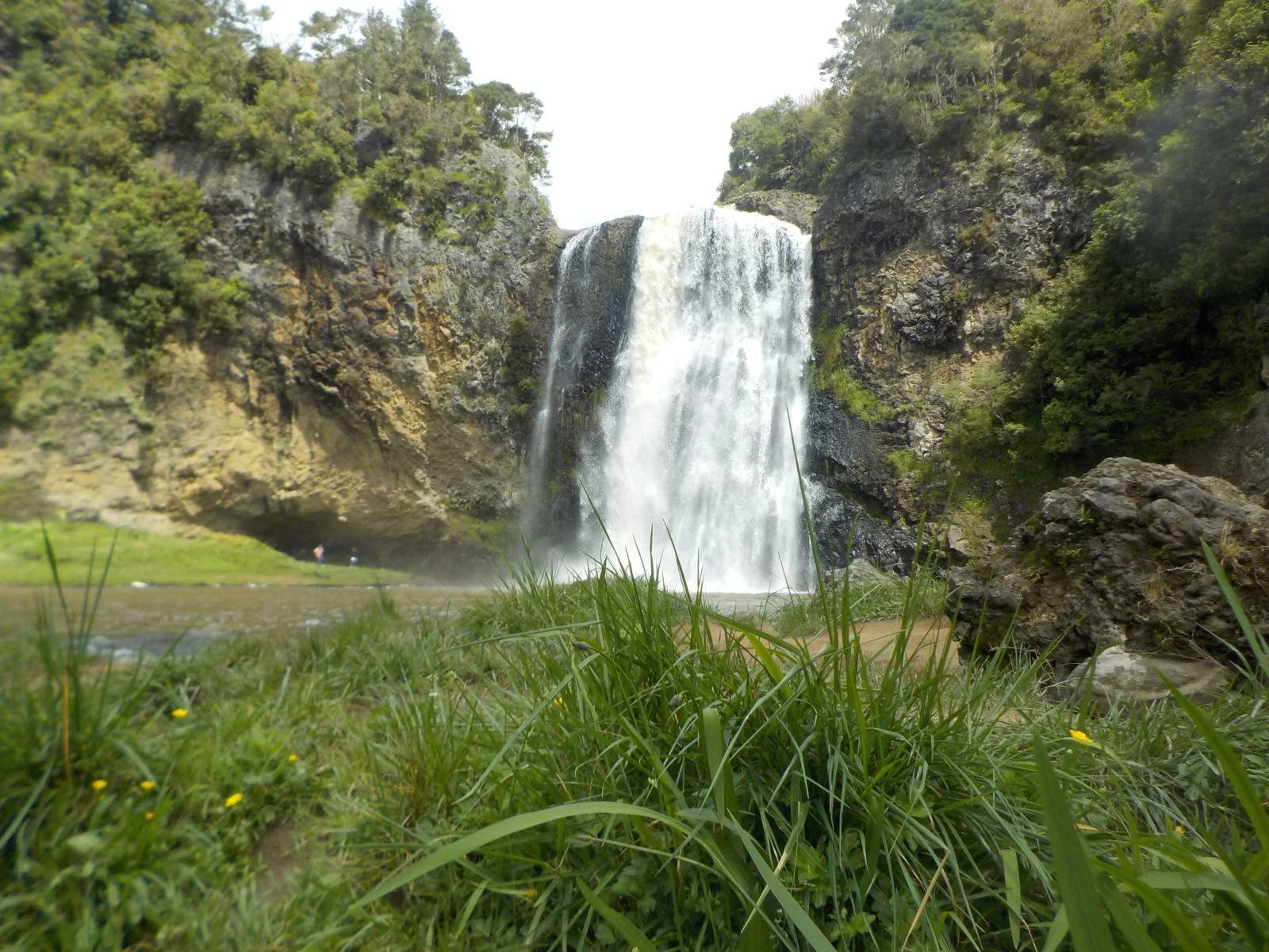 DSCN0268.webp