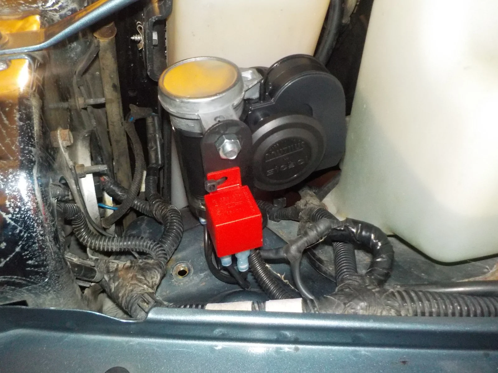 DSCN0284.webp
