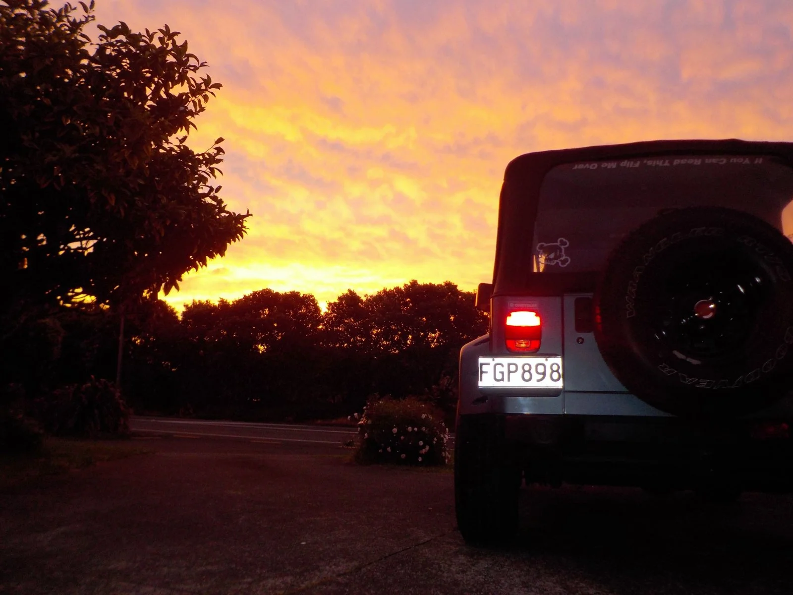DSCN0292.webp