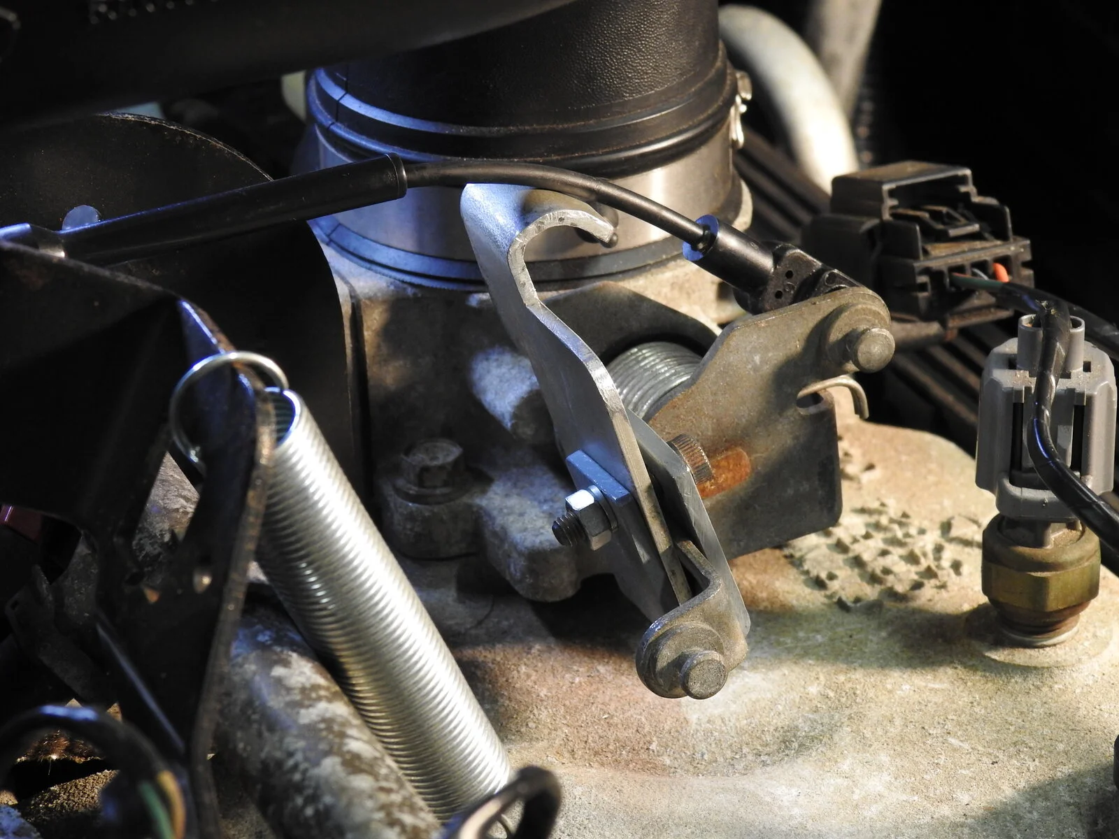 DSCN0484.webp