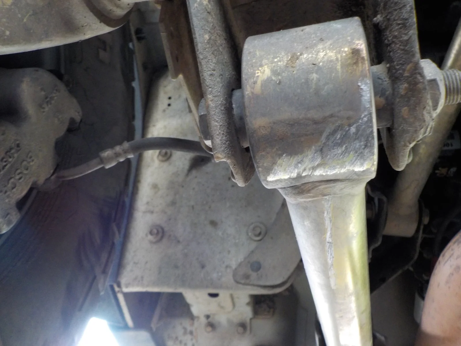 DSCN0645.webp