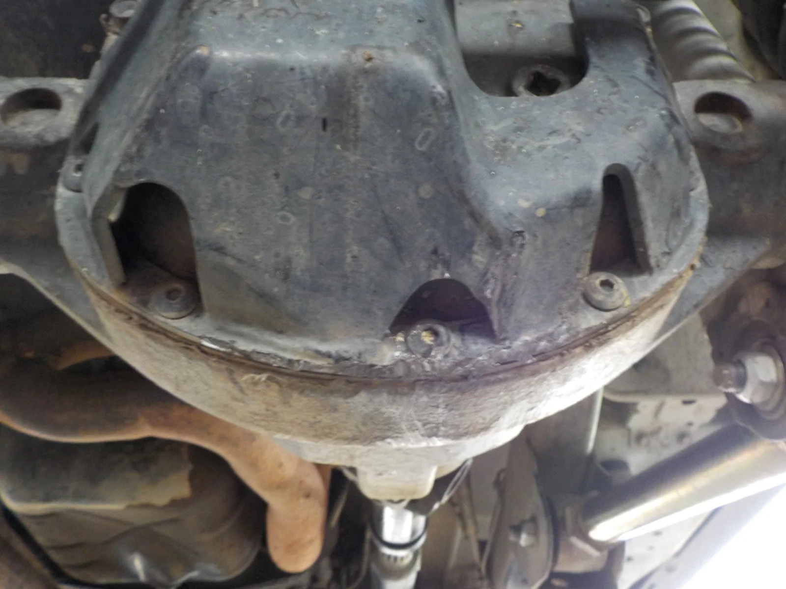 DSCN0646.webp