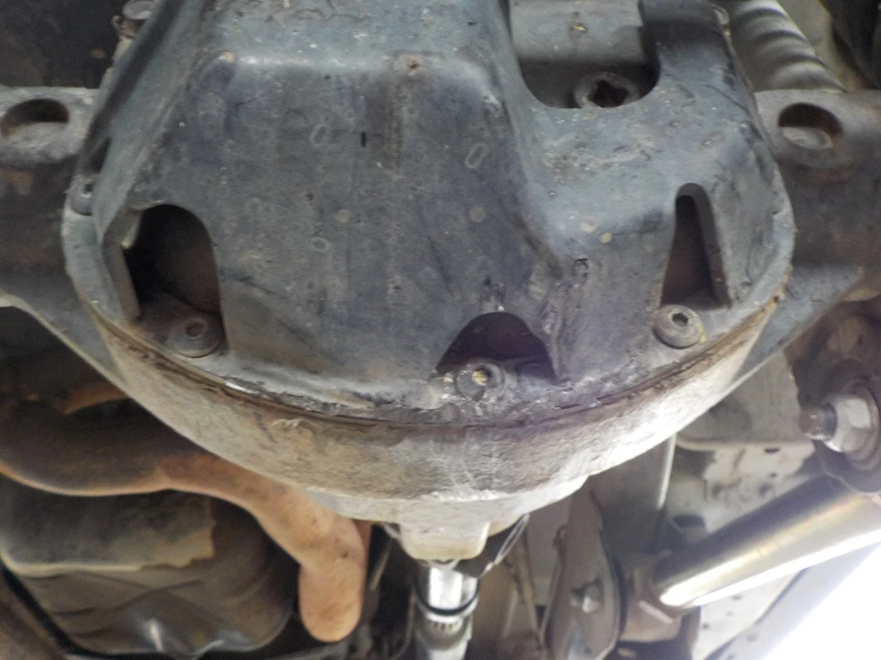 DSCN0646.webp