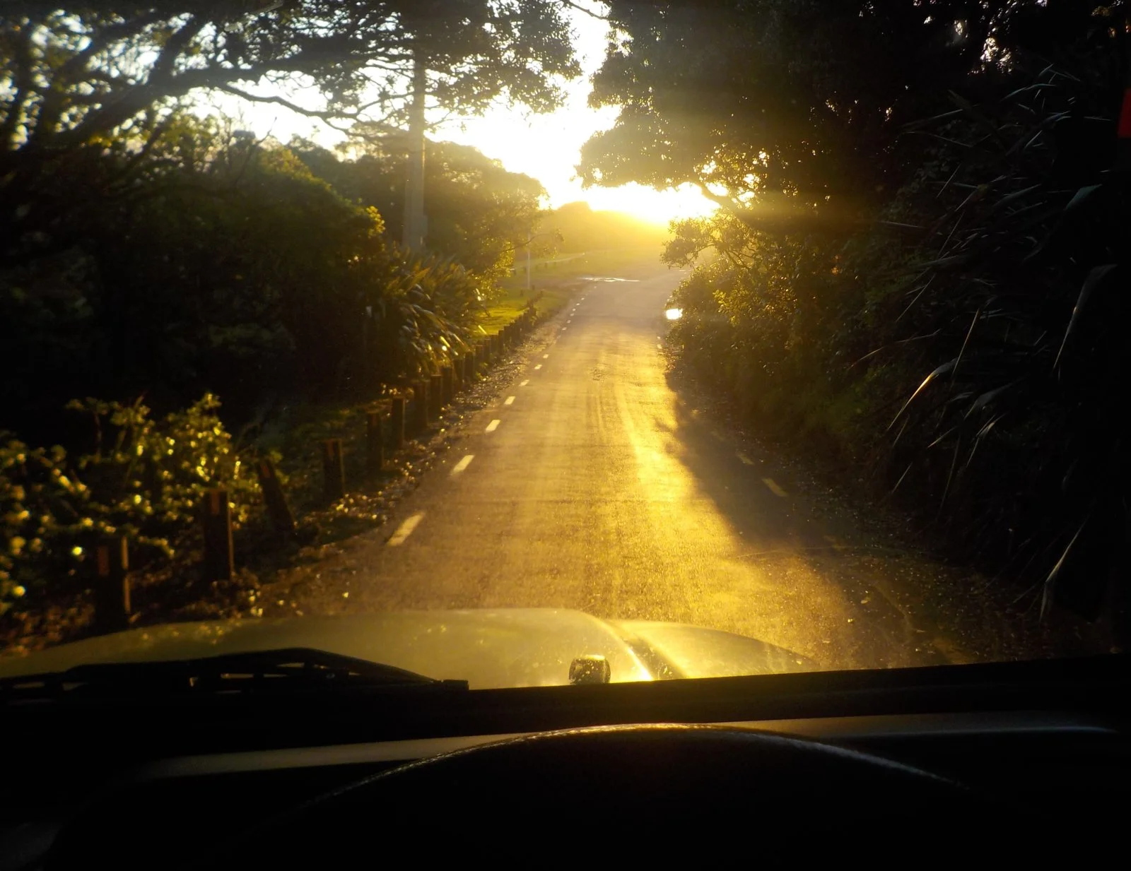 DSCN0652.webp