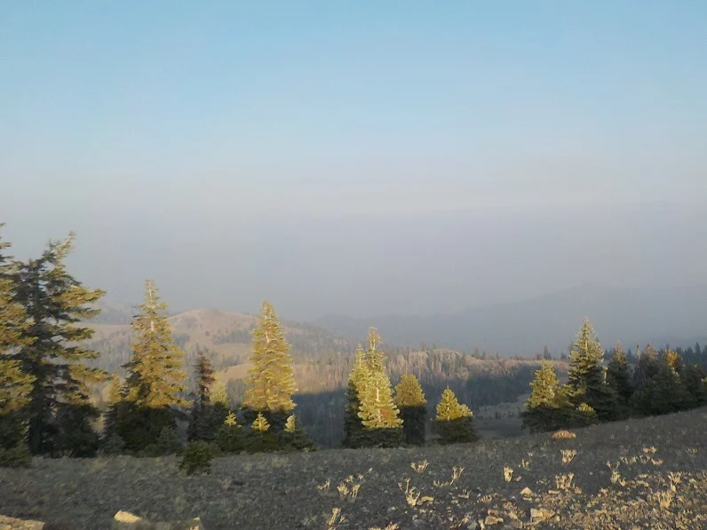 DSCN0736.webp