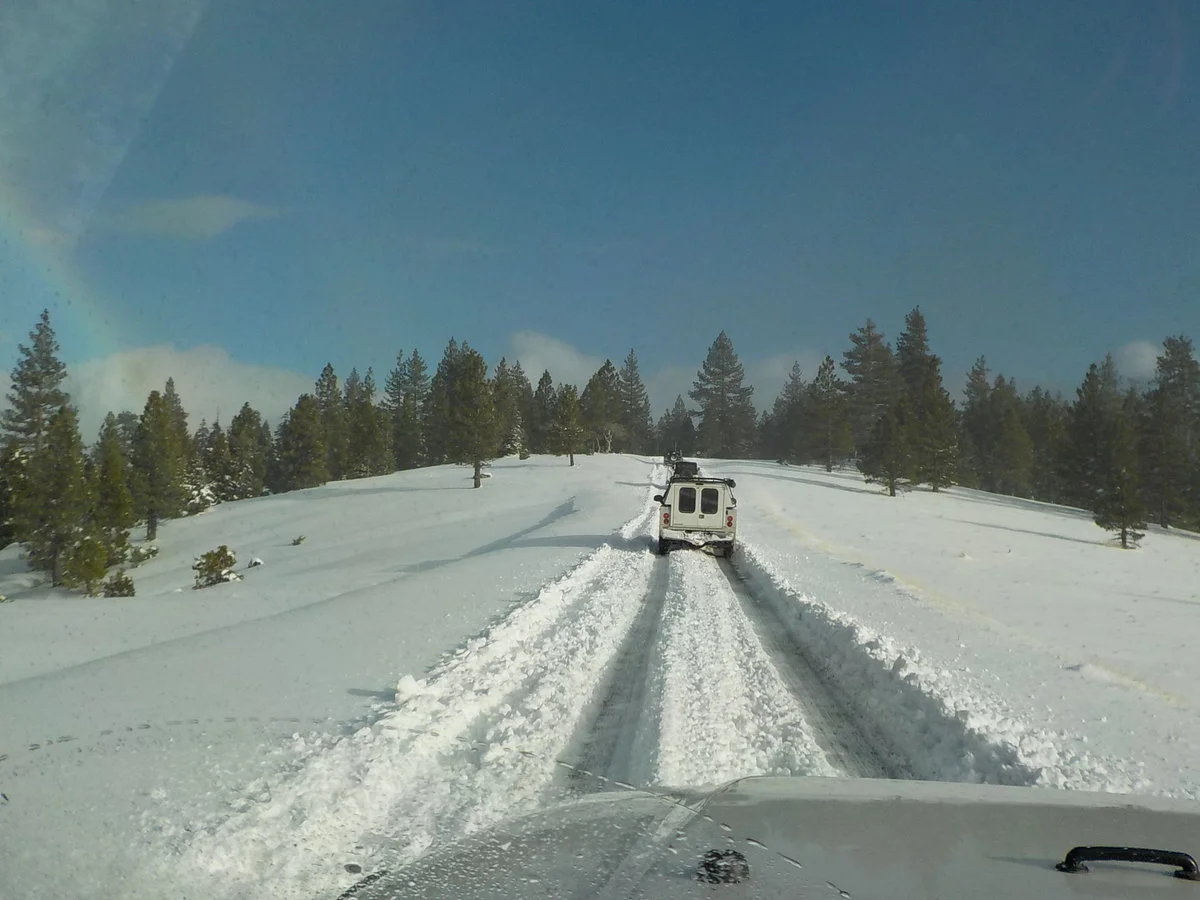 DSCN0802.webp