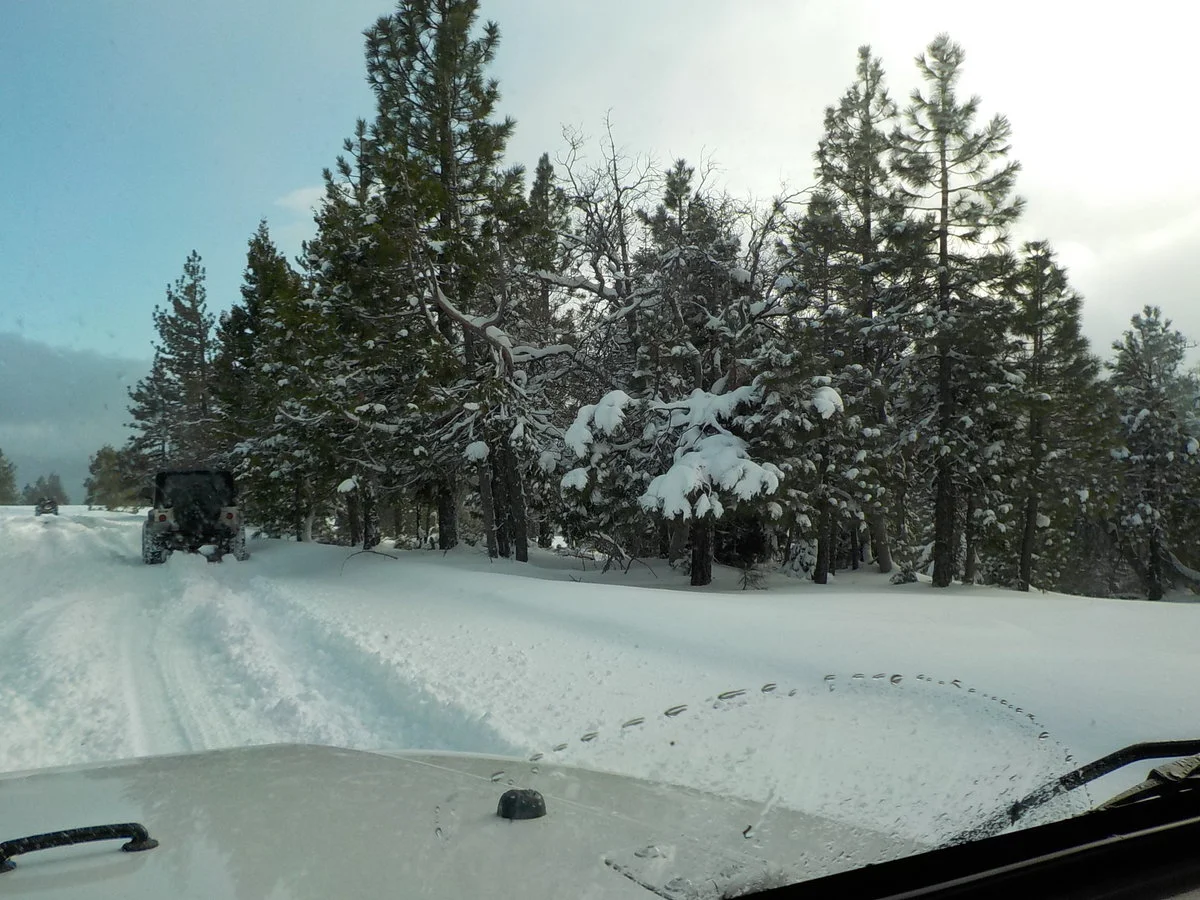 DSCN0806.webp