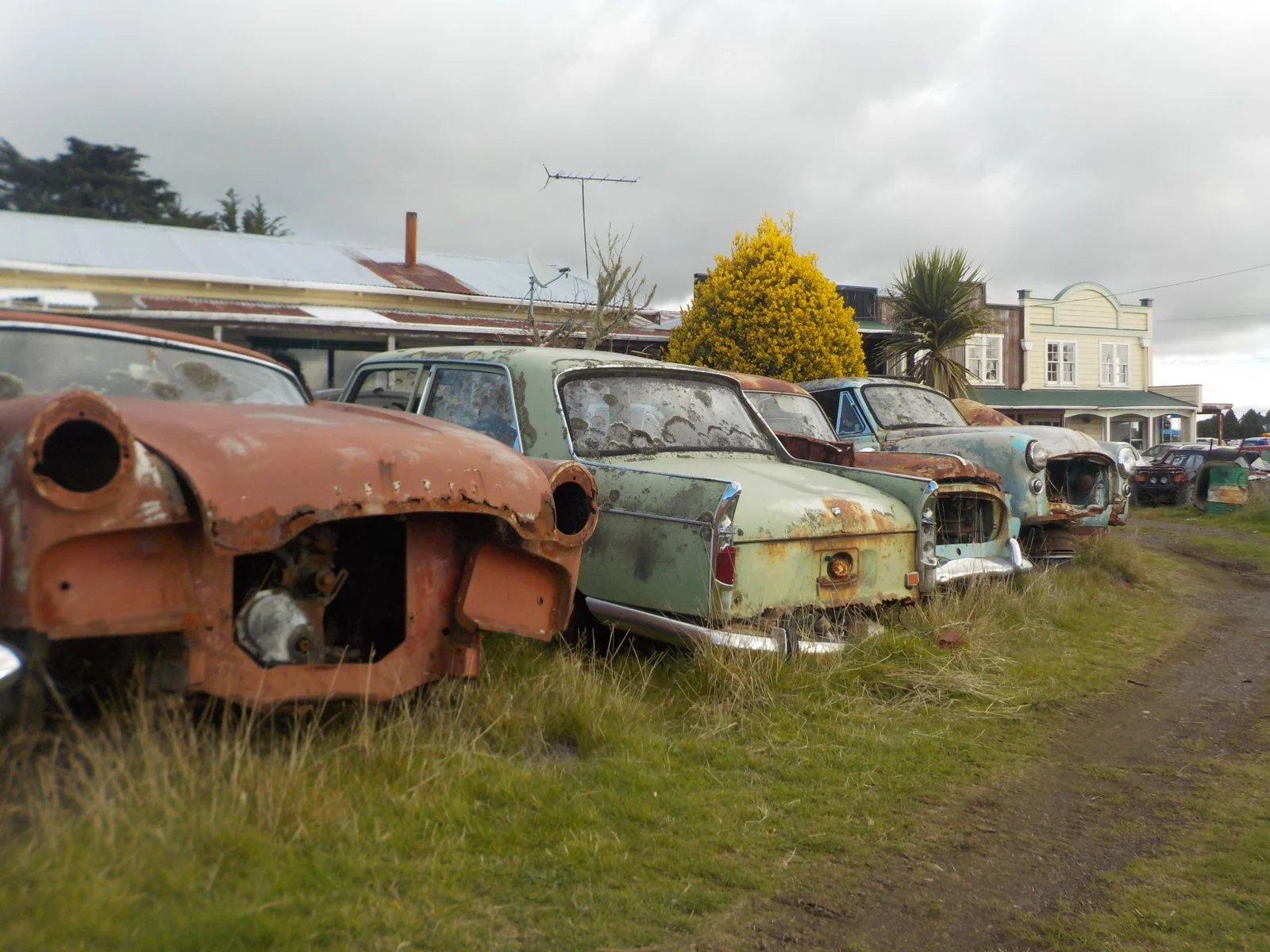 DSCN0854.webp