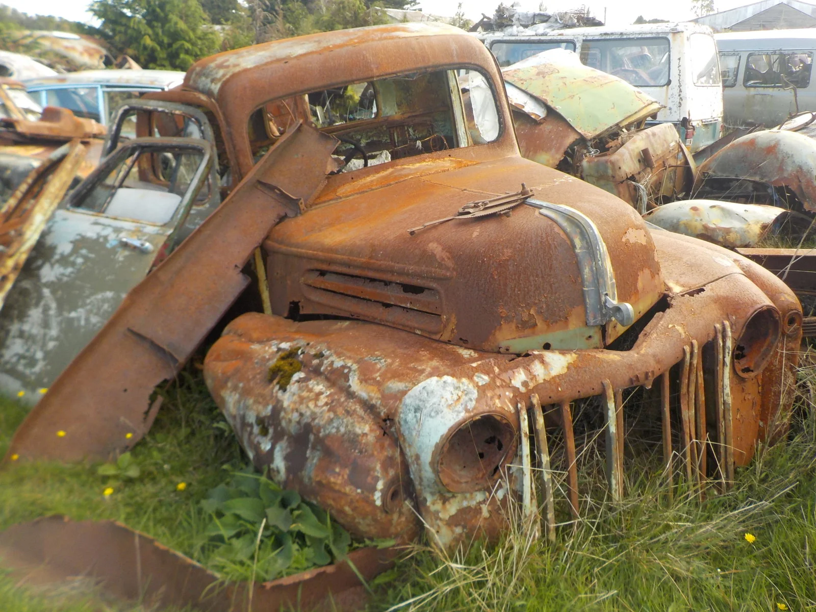 DSCN0865.webp