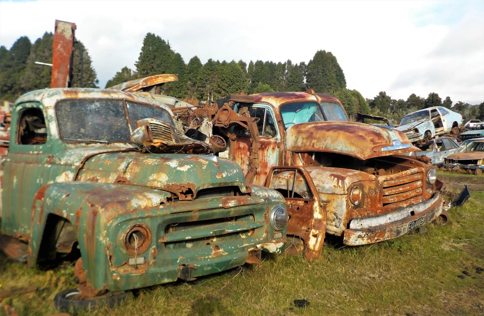 DSCN0890.webp