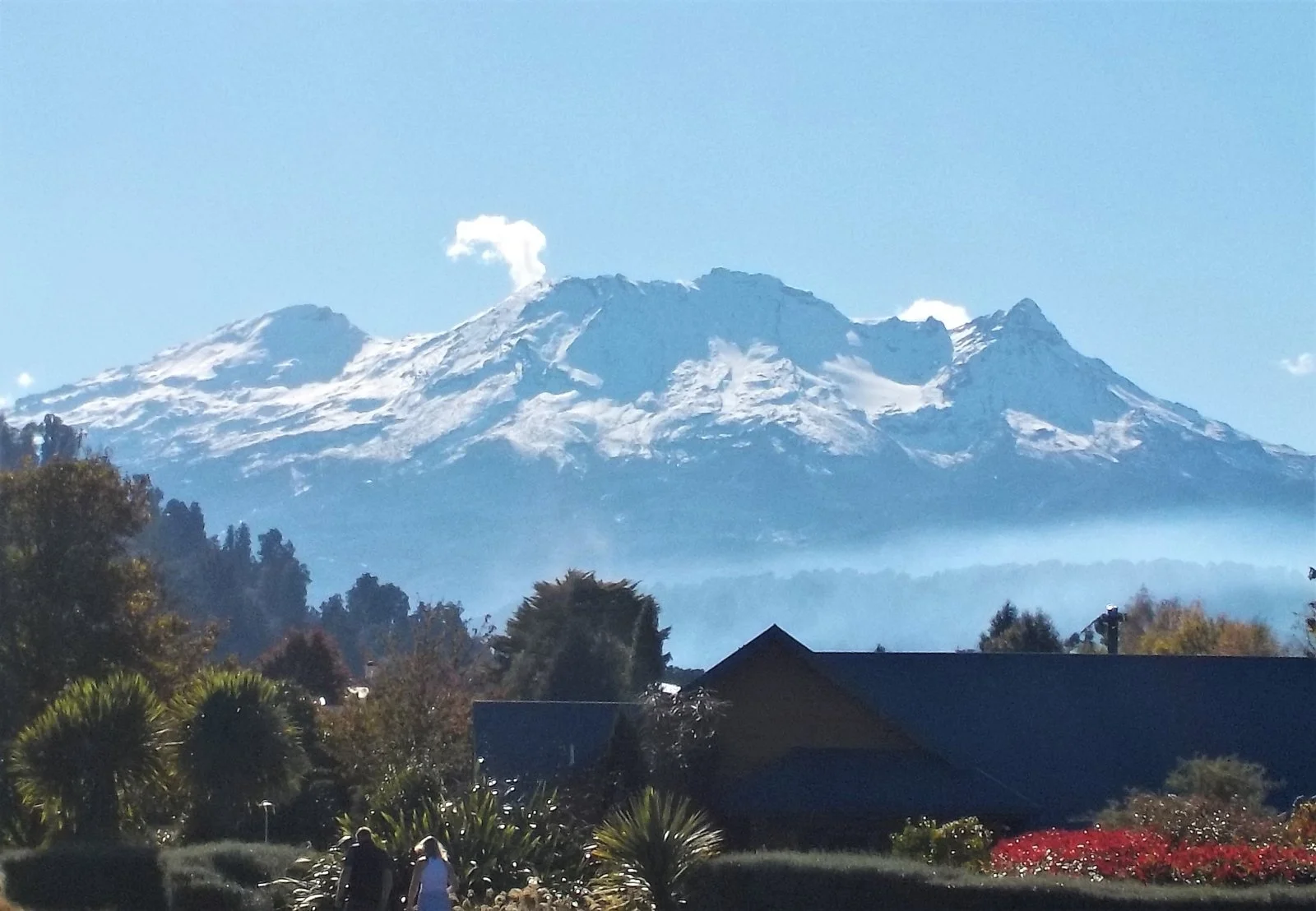 DSCN0909.webp
