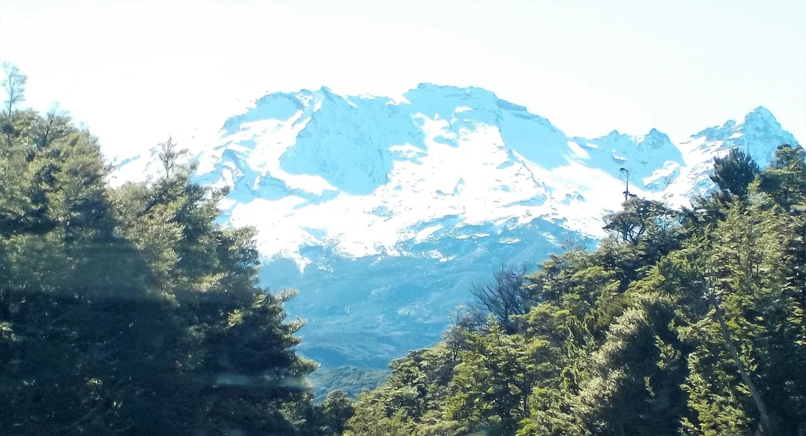 DSCN0917 (2).webp