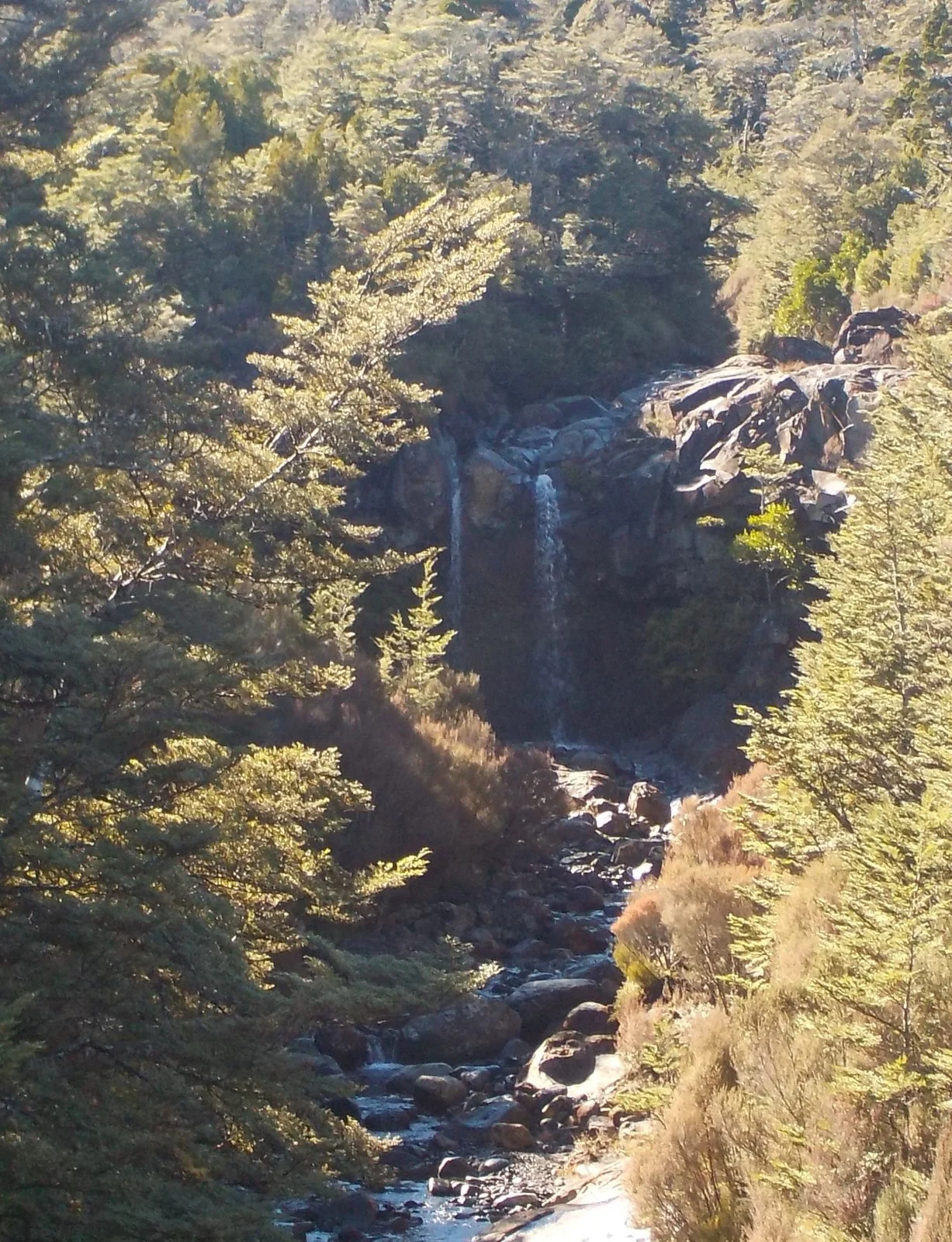 DSCN0918.webp