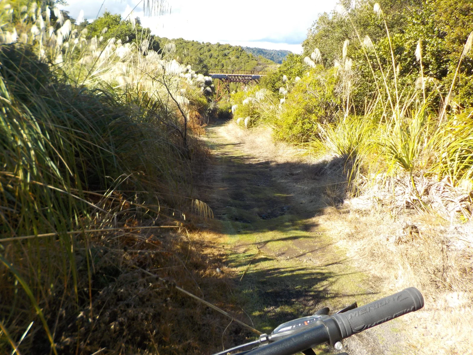 DSCN0932.webp