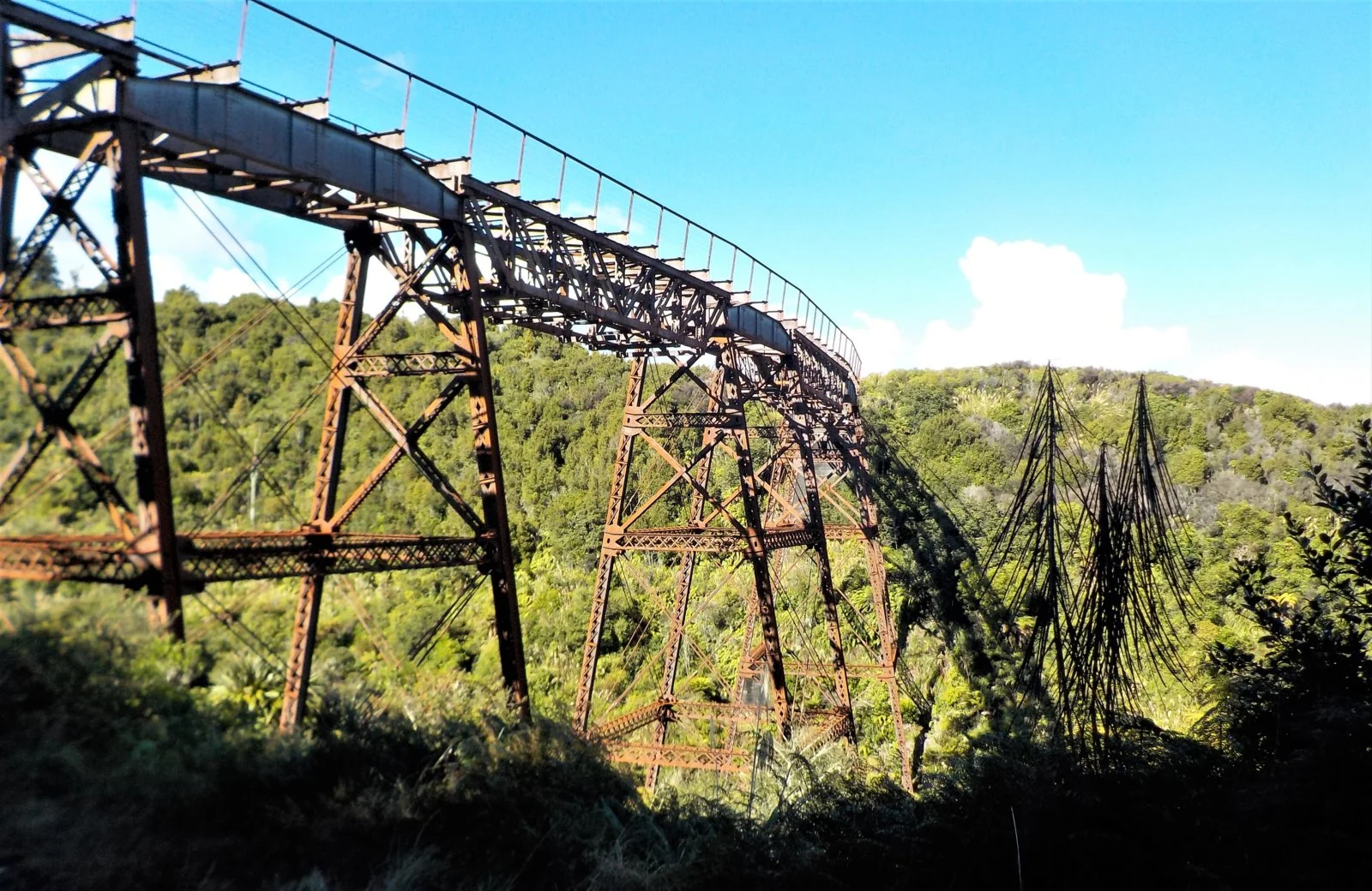 DSCN0933.webp