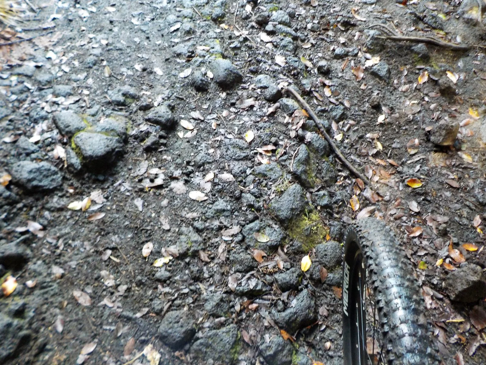 DSCN0935.webp