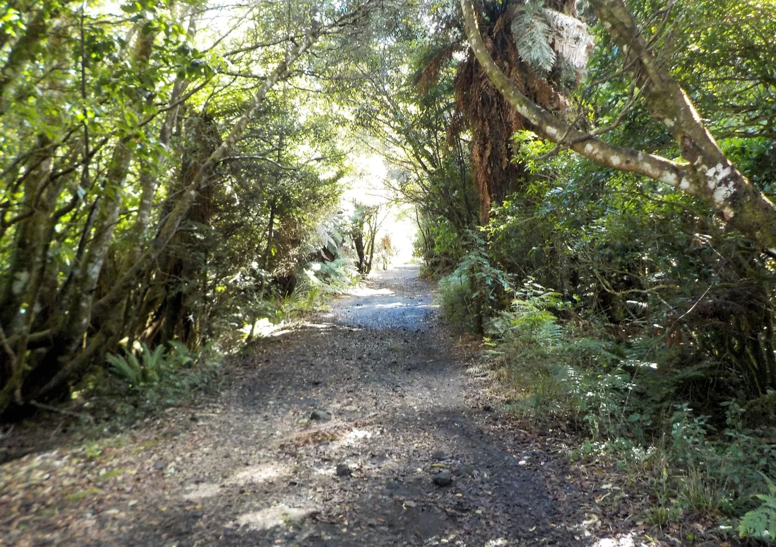 DSCN0936.webp