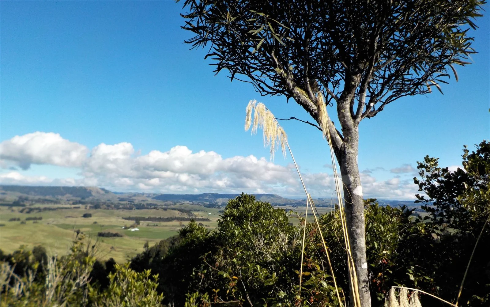 DSCN0938.webp