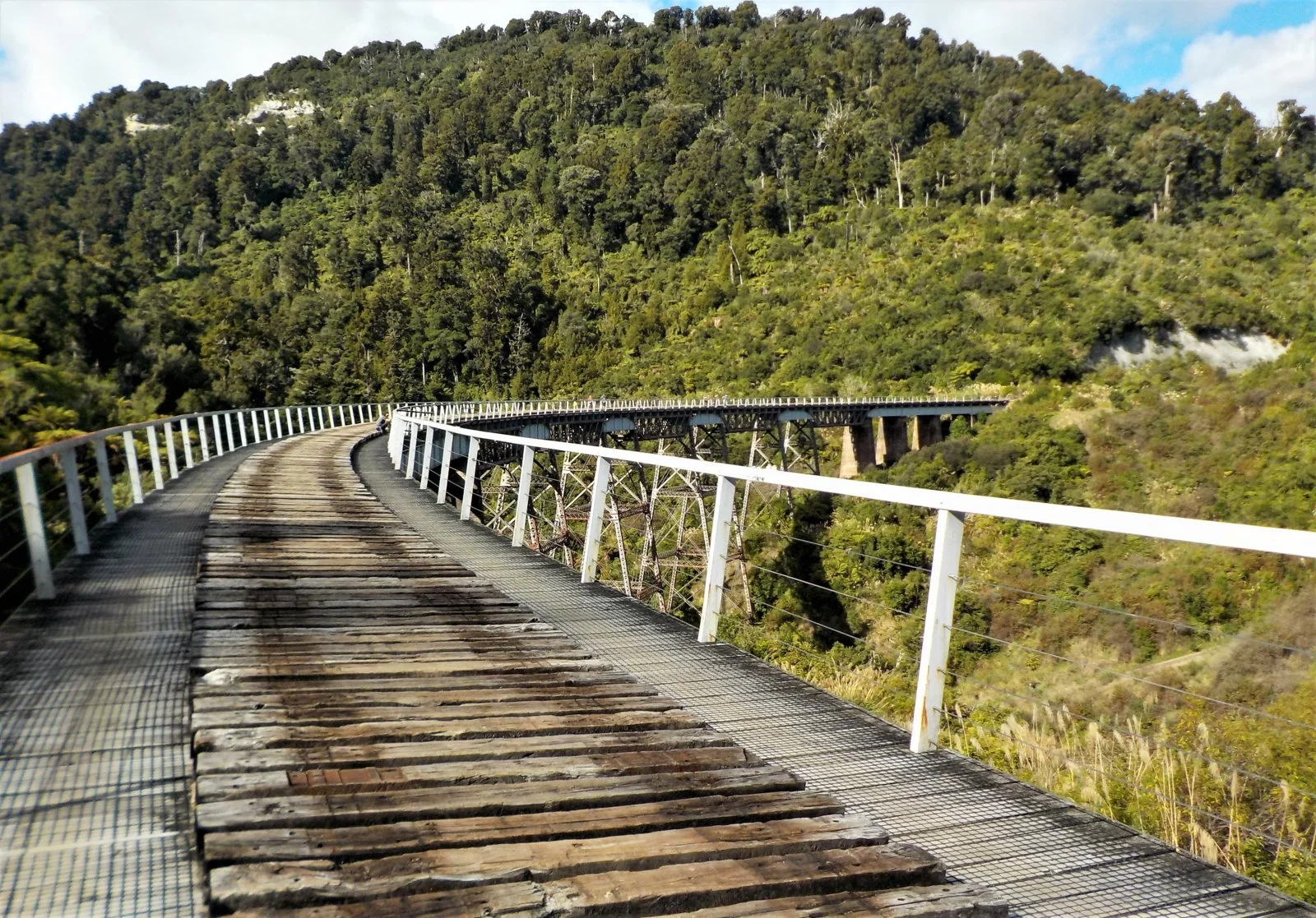 DSCN0940.webp