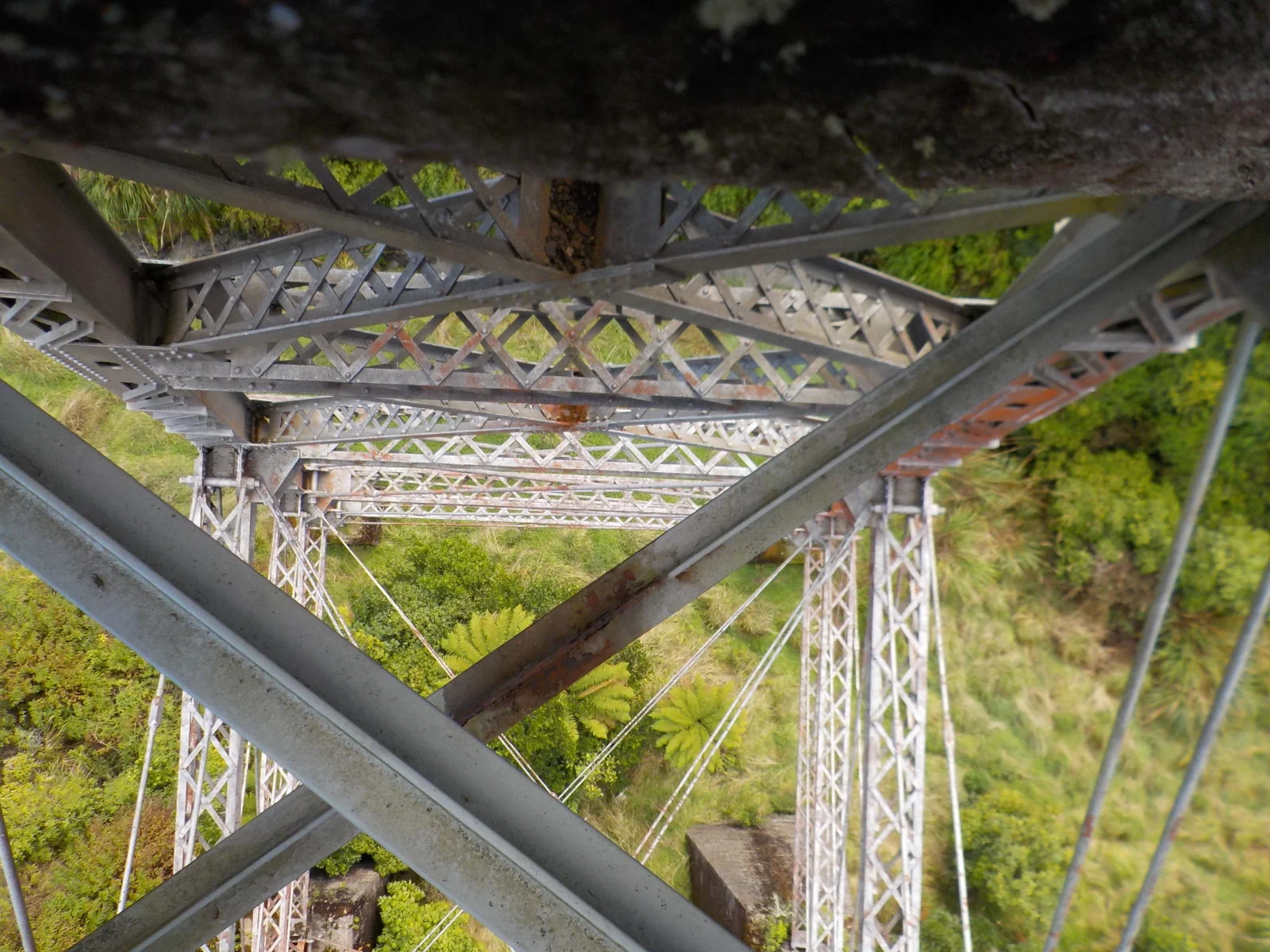 DSCN0945.webp