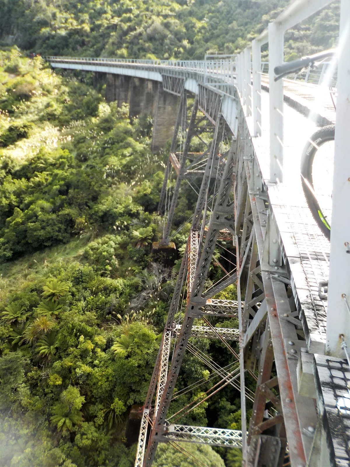 DSCN0946.webp