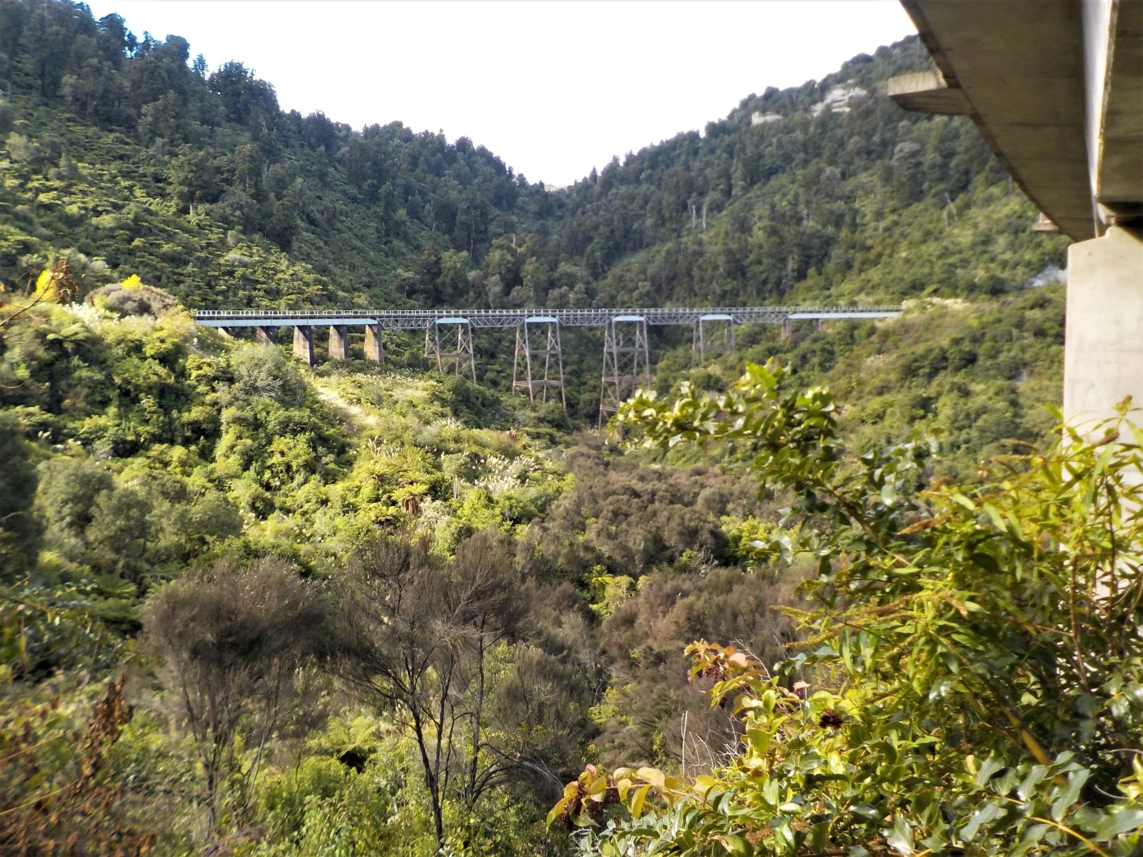 DSCN0949.webp